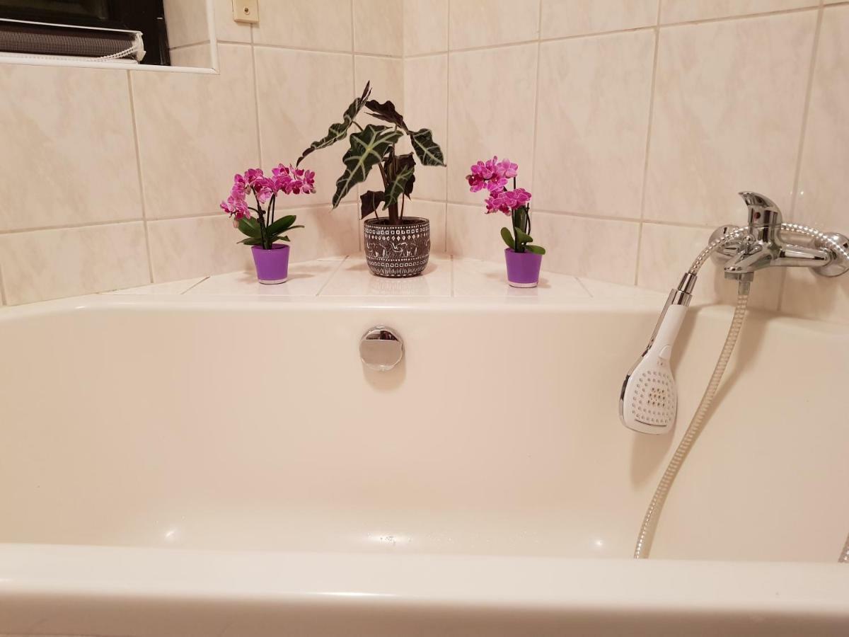 Ferienwohnung Tinas Beauty Neckarsteinach Ngoại thất bức ảnh